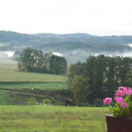 Gemuetliches In Sebnitz, Cleaning Included *